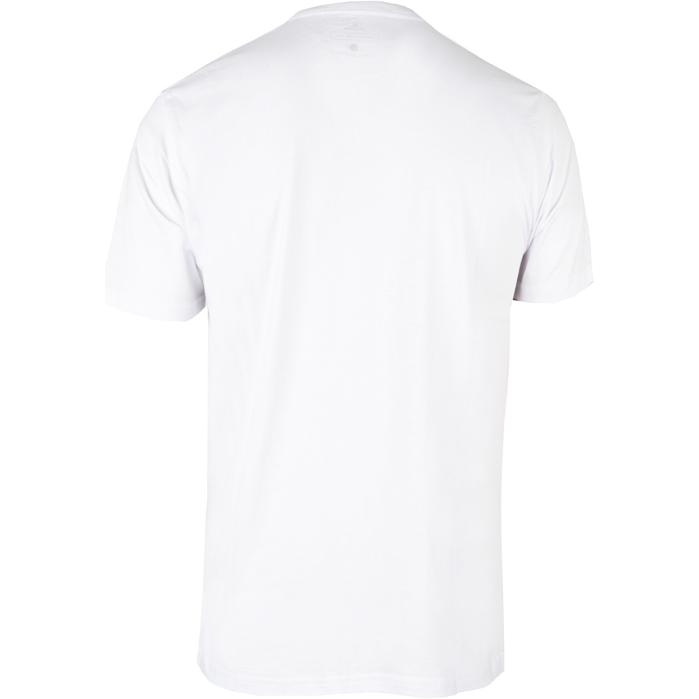 Rip Curl camiseta manga corta hombre ICON SPLIT TEE vista trasera