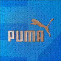 Puma sudadera entrenamiento fútbol niño FIGC Home Prematch J vista detalle