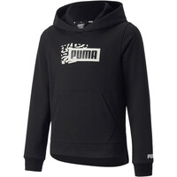 Puma sudadera niña Alpha Hoodie FL G vista frontal