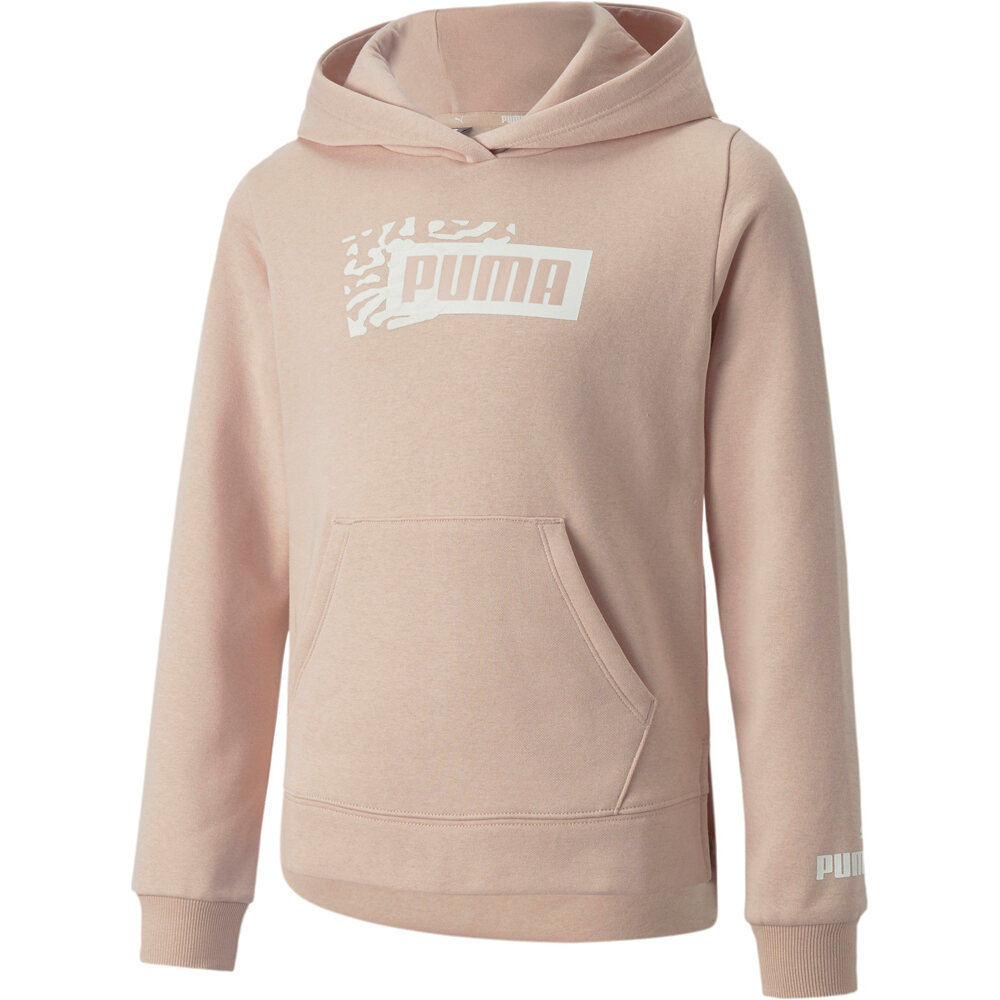 Puma sudadera niña Alpha Hoodie FL G vista frontal