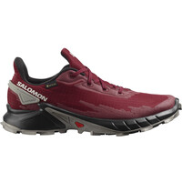 Salomon zapatillas trail hombre ALPHACROSS 4 GTX lateral exterior