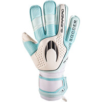 Ho Soccer guantes portero GUERRERO PRO NEGATIVE vista frontal