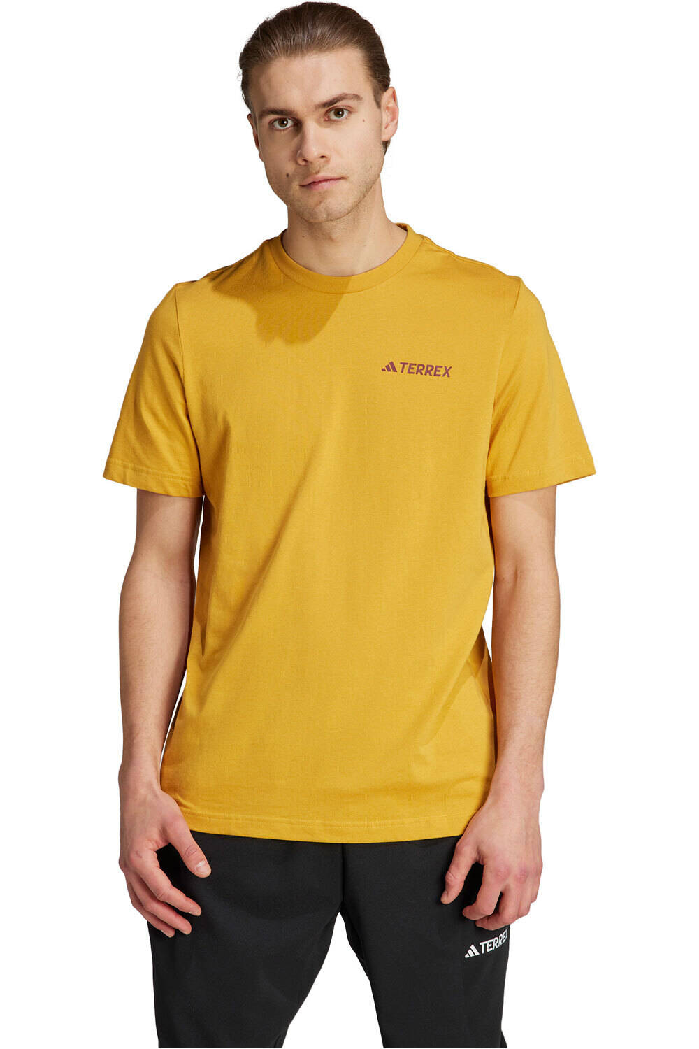 Terrex graphic mtn 20 camiseta montaña manga corta hombre Amarillo (M)