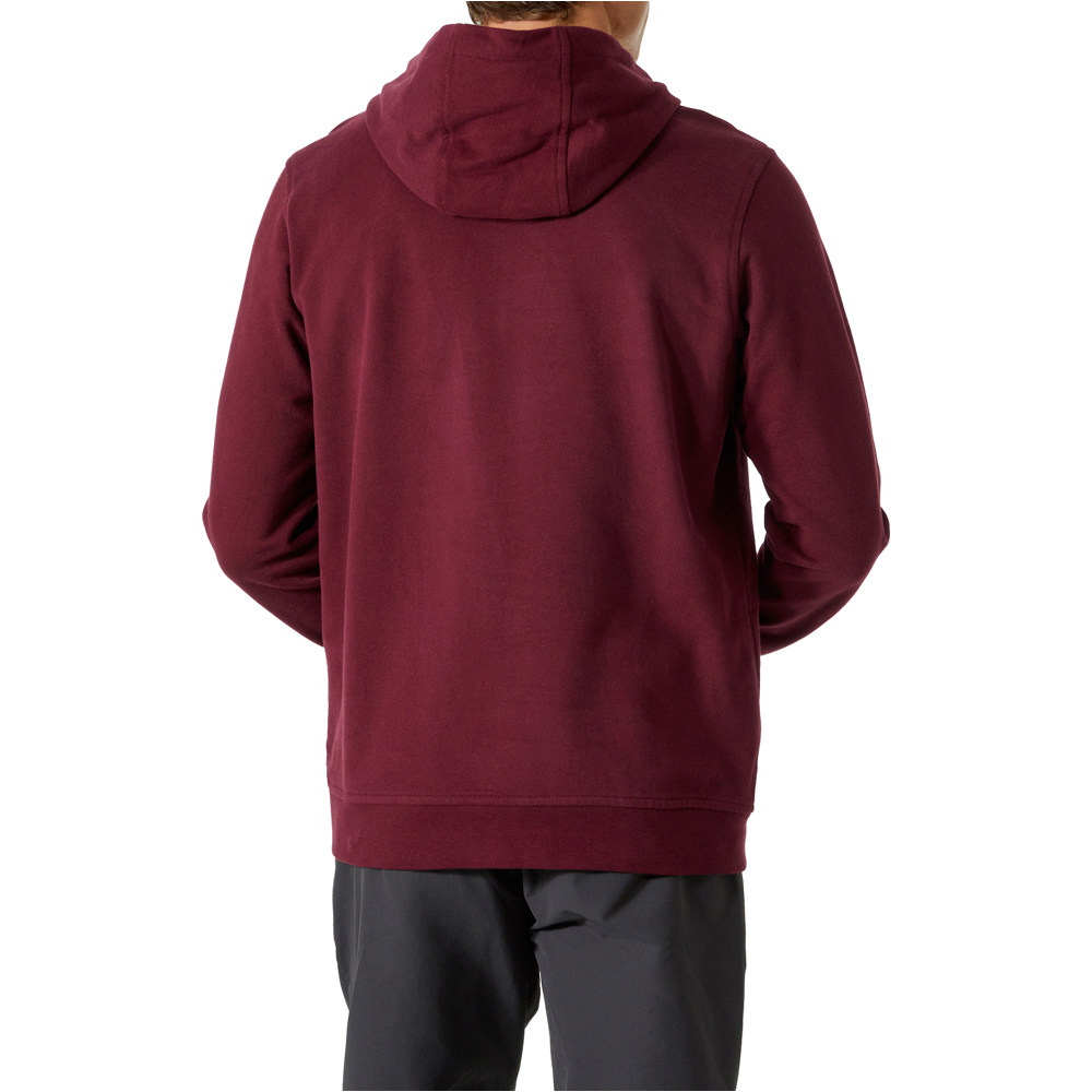 Helly Hansen sudadera hombre HH LOGO HOODIE 05