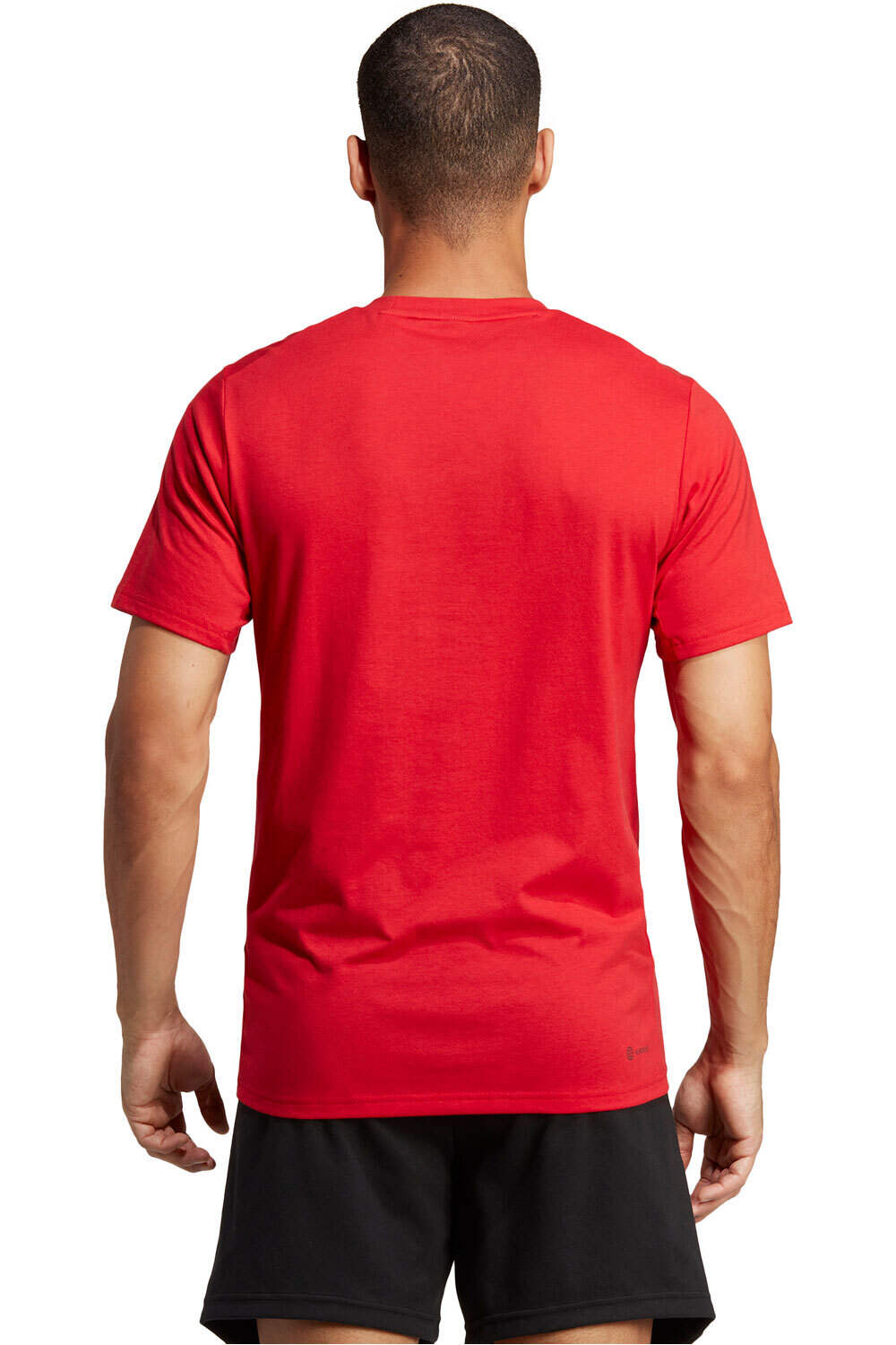 adidas camiseta fitness hombre TR-ES FR T vista trasera