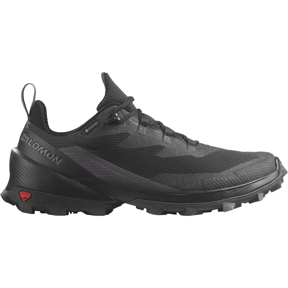 Cross over 2 gore-tex zapatilla trekking hombre