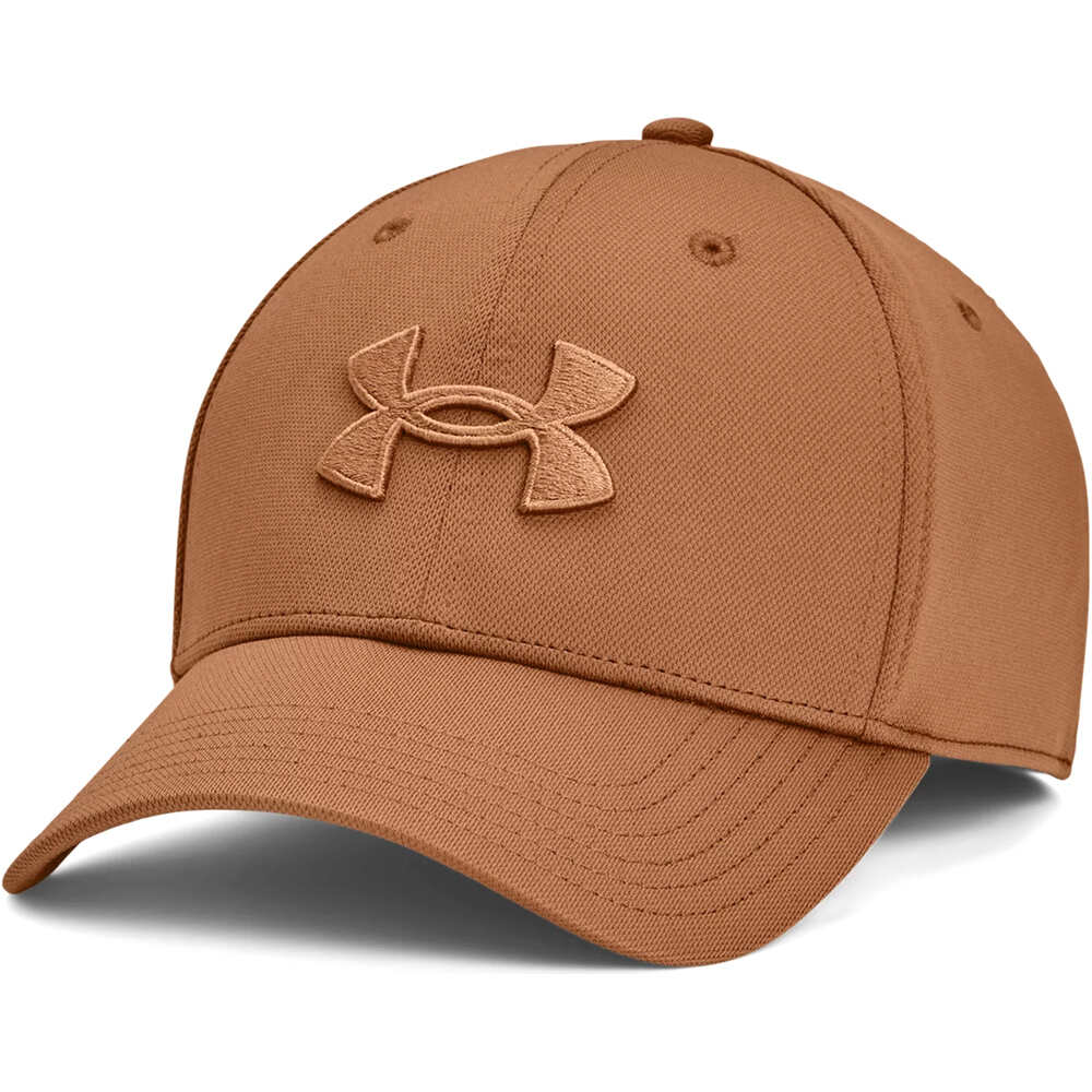 Under Armour visera lona Men's UA Blitzing vista frontal