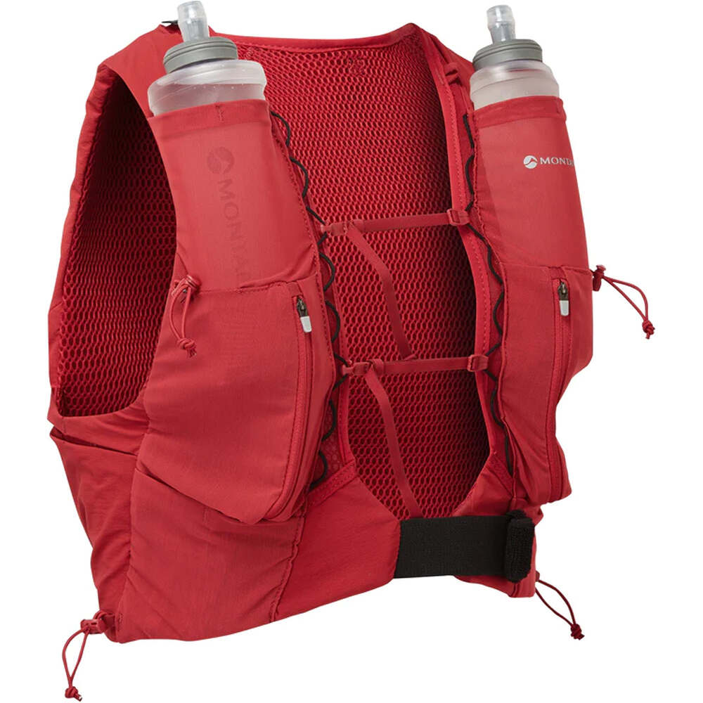 Montane gecko vp 5 varios running