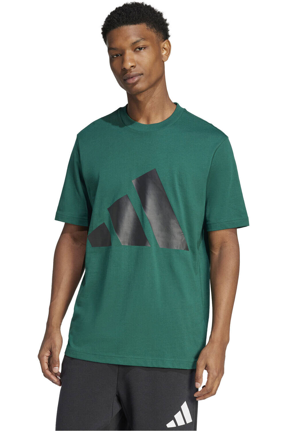 Essentials big logo camiseta manga corta hombre Verde (XXL)