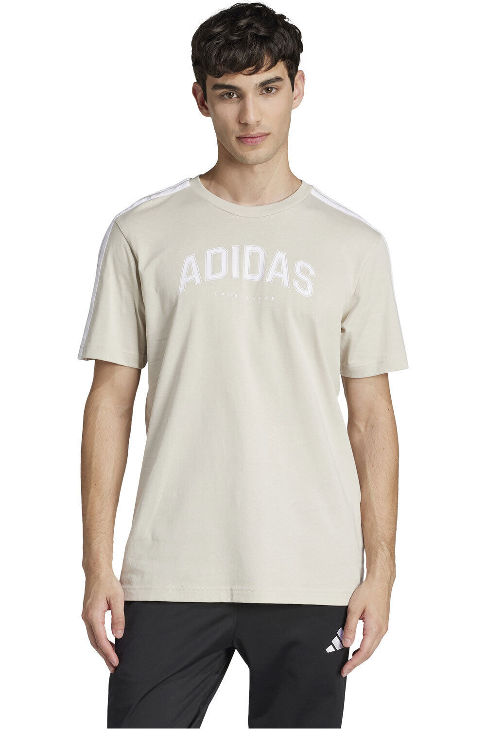 Codes collegiate linear graphic camiseta manga corta hombre Beige (XL)