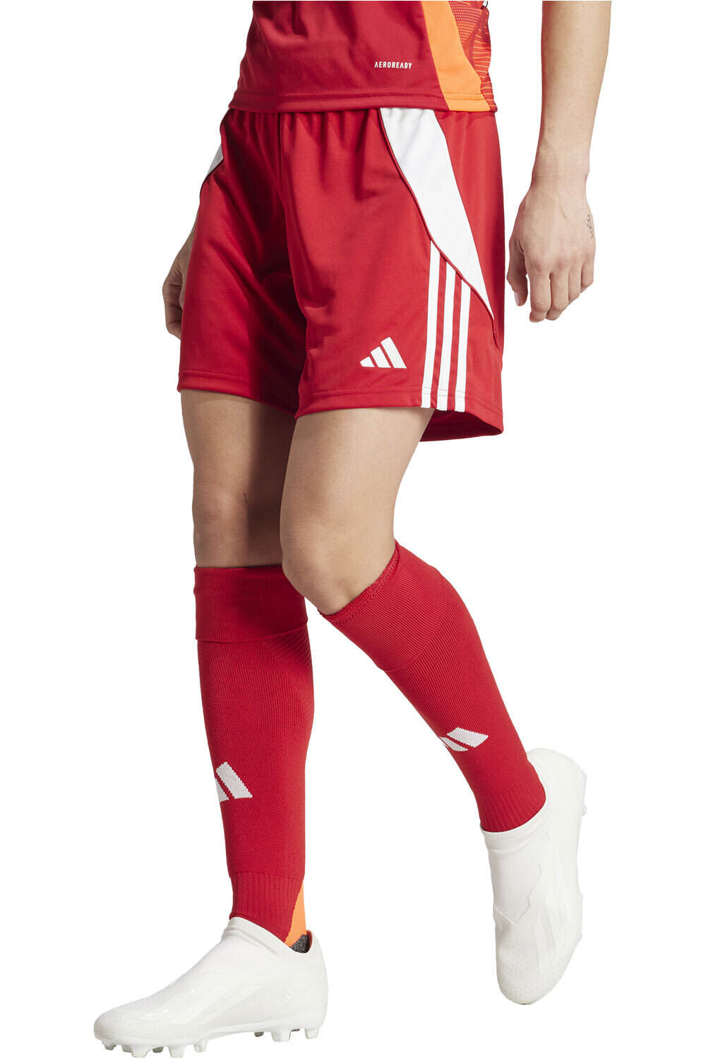 Tiro24 pantalones cortos futbol Rojo (XXS)