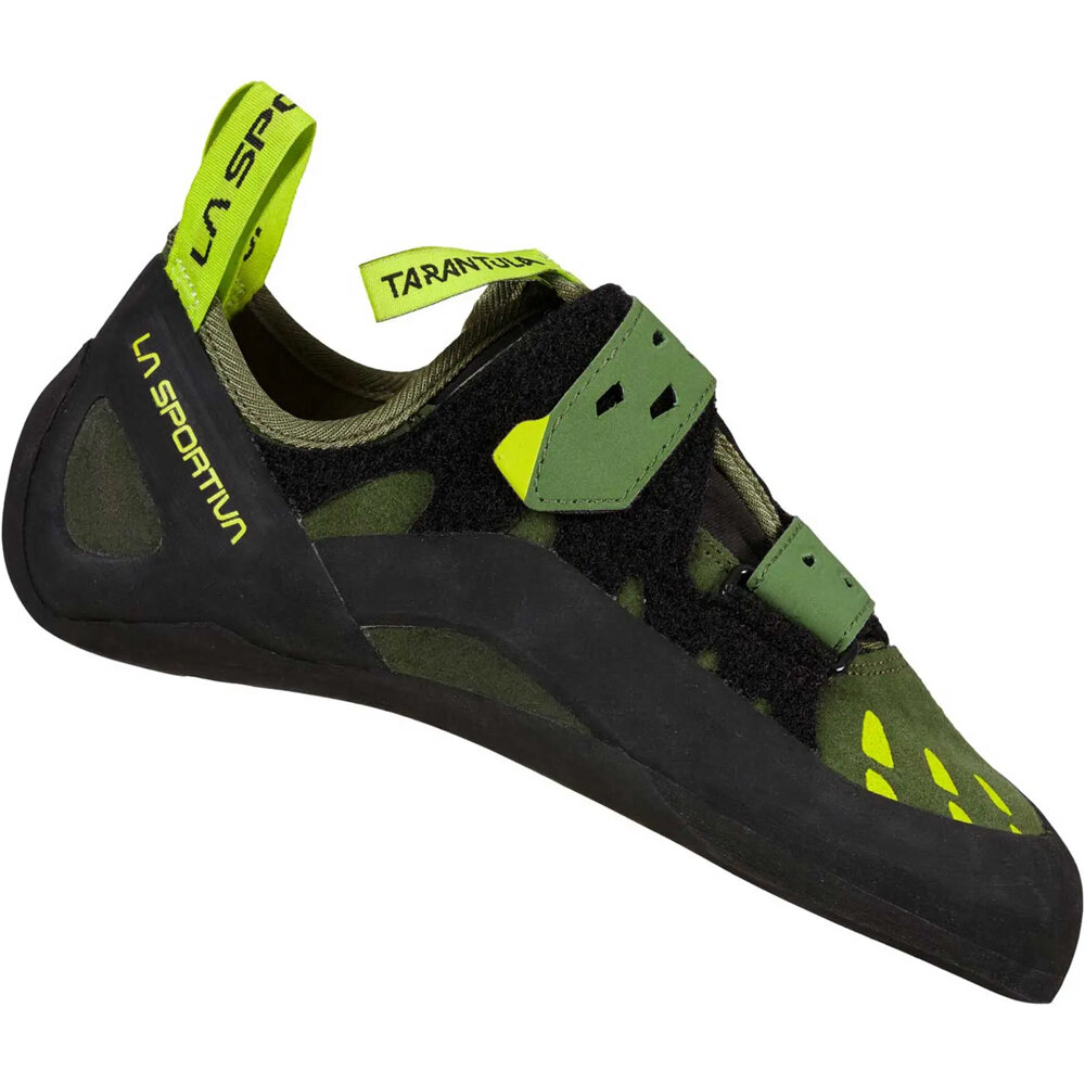Tarantula pies de gato Verde (40,5)