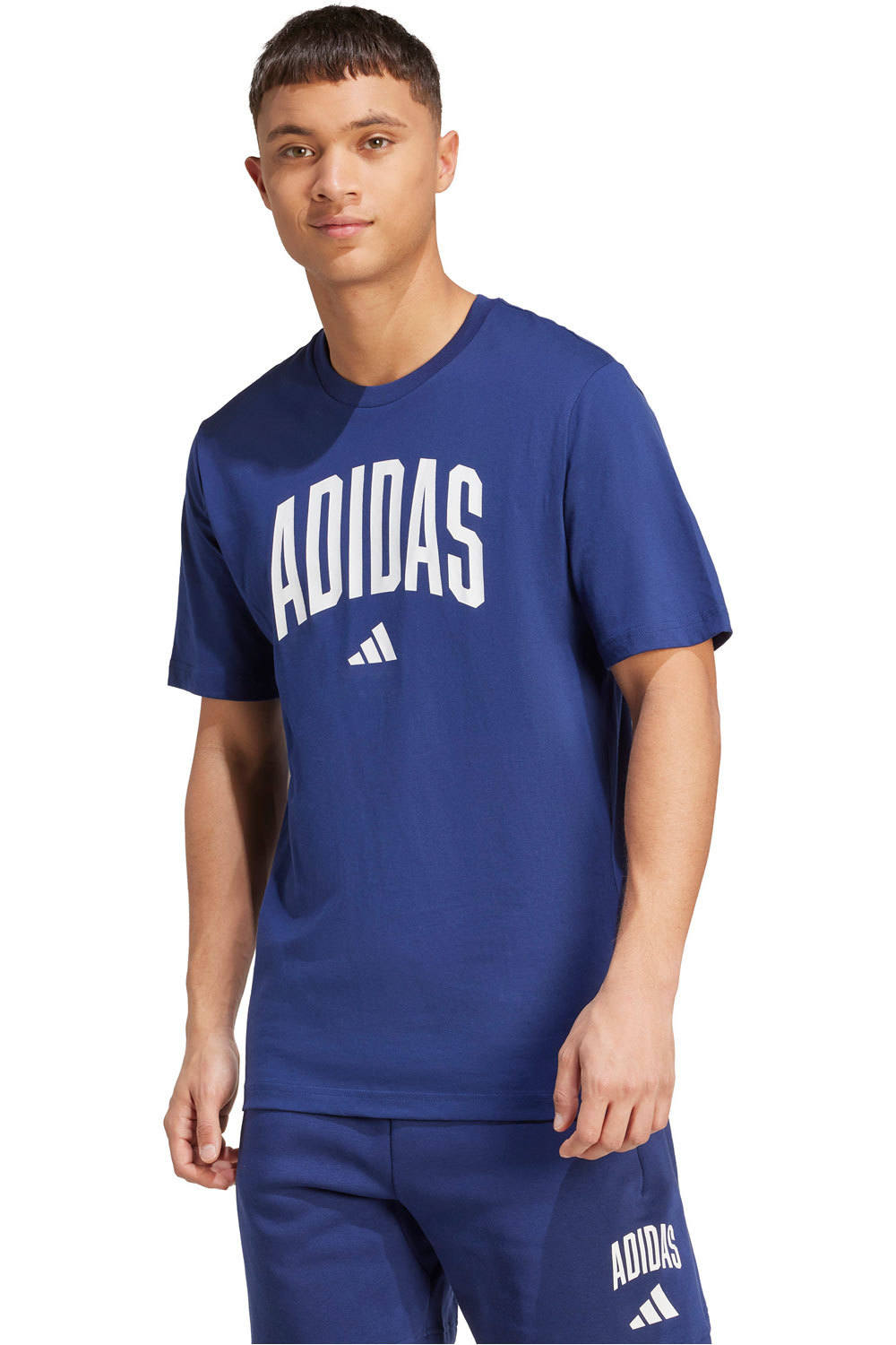 Collegiate lineage graphic camiseta manga corta hombre Marino (XL)