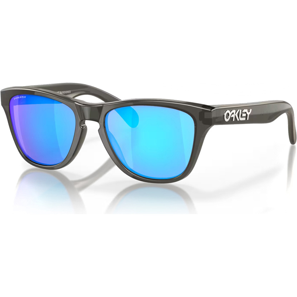 Oakley Frogskins xxs grey smoke w/ prizm sapph gafas deportivas infantiles