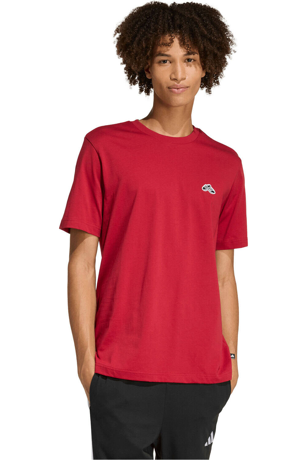 Summer slide trim graphic camiseta manga corta hombre Granate (L)