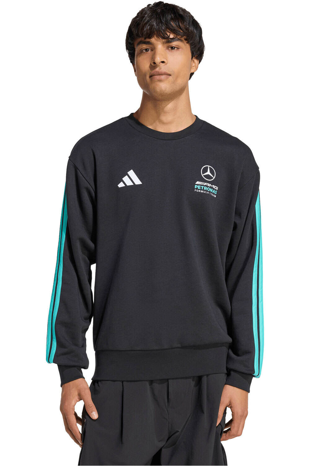 Adidas Motor mercedes-amg petronas formula 1 team dna sudadera hombre