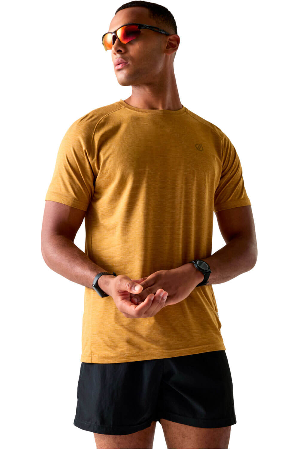 Persisttee camiseta montaña manga corta hombre Marron