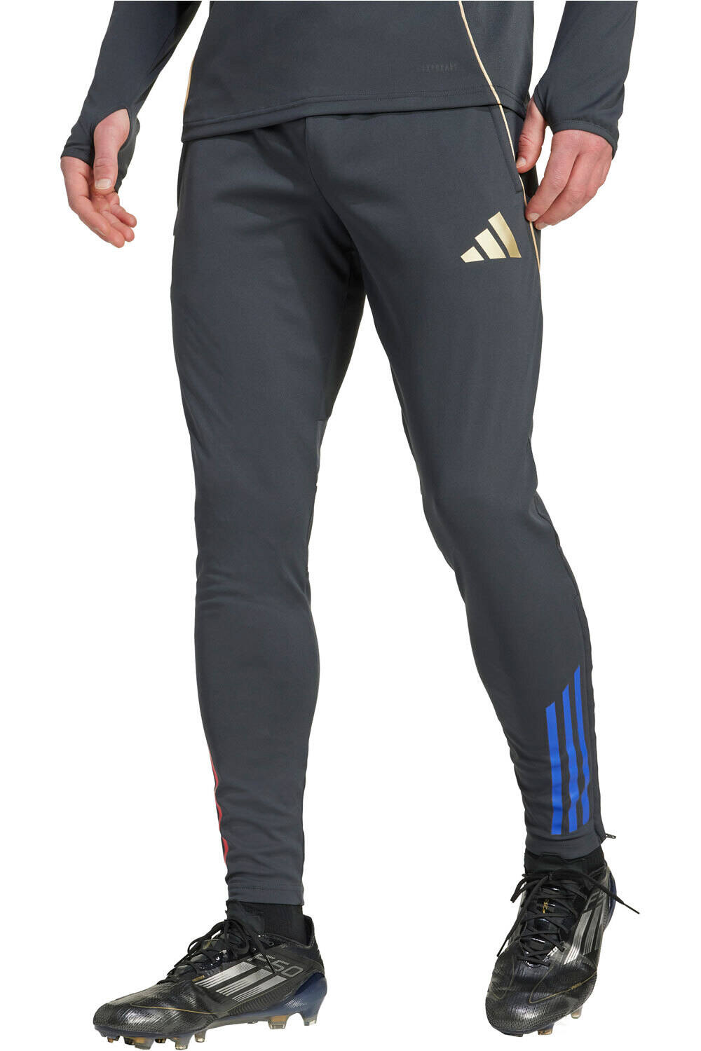 Olympic de lyon 25/26 entrenamiento pantalones futbol Gris (M)