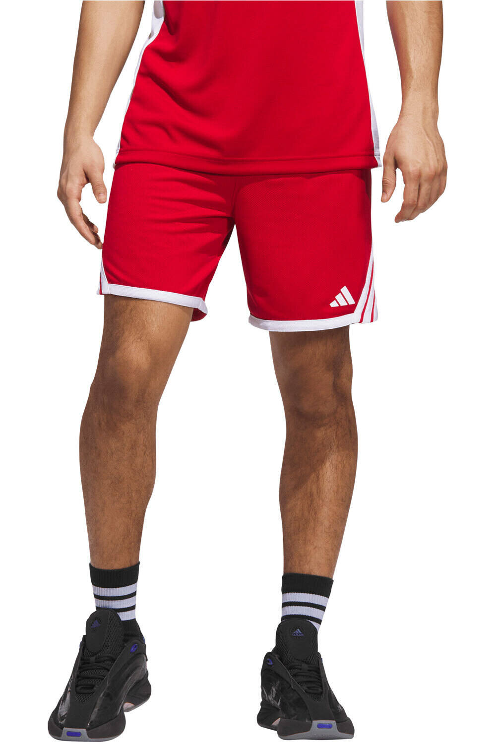 Everyday pro pantalón baloncesto Rojo (M)