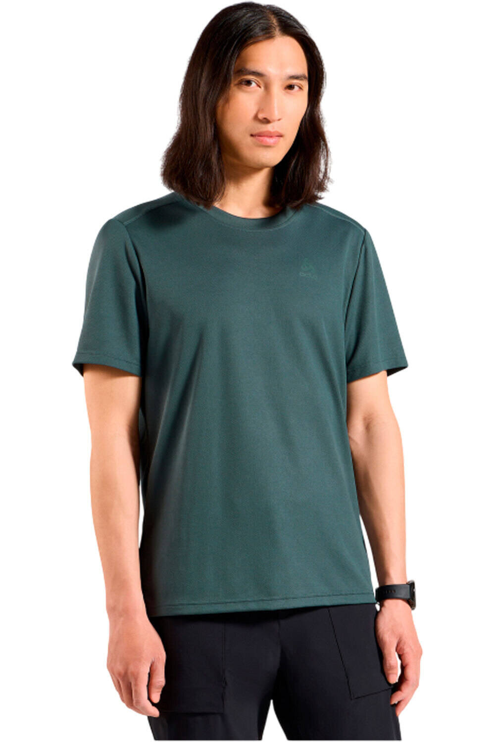 F-dry camiseta montaña manga corta hombre Gris (M)