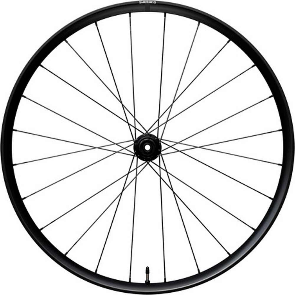 Shimano Wheel rear rx180 12s 142x12 ruedas carretera