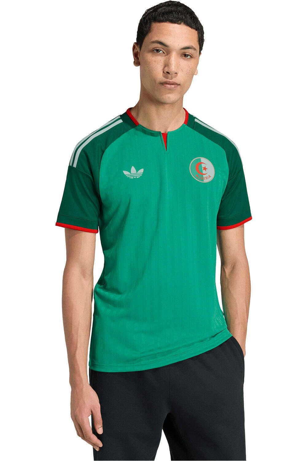 Argelia mundial 2026 segunda equipacion camiseta de fútbol oficiales Verde (XXXL)