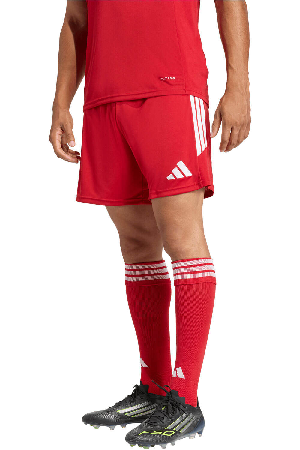 Tiro26 league pantalones cortos futbol Rojo (M)