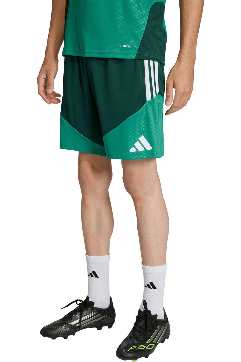 Adidas argelia mundial 2026 entrenamiento pantalones fútbol oficiales