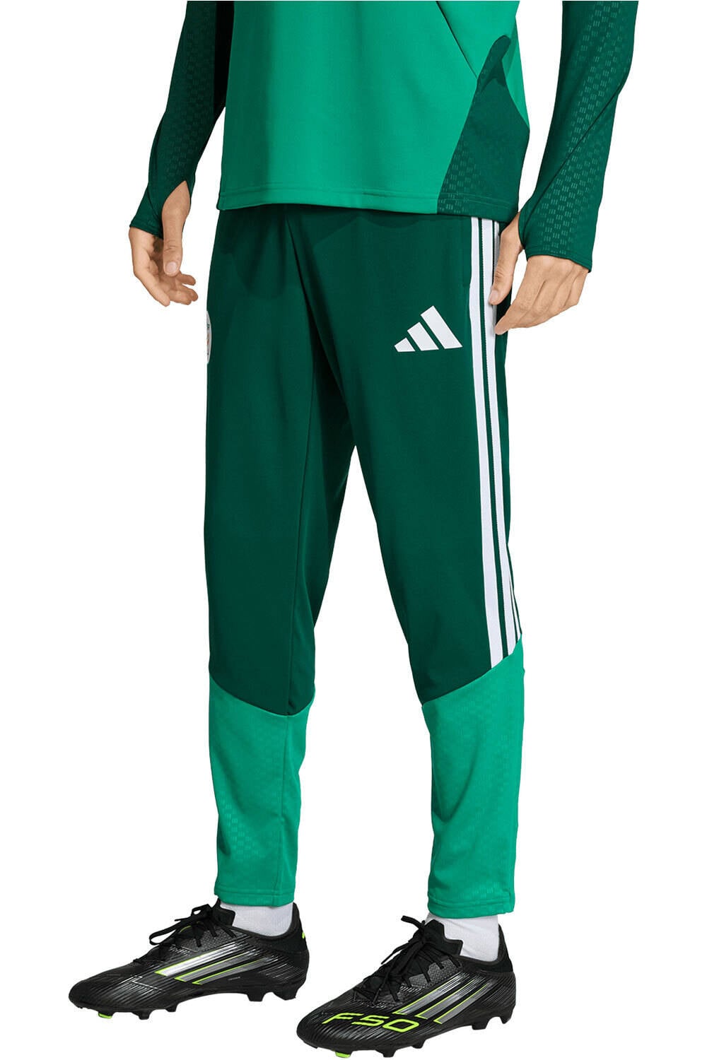 Argelia mundial 2026 entrenamiento pantalones futbol Verde (XXXL)